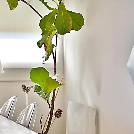 Oliviers De Fabron 아파트 니스