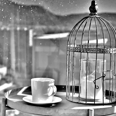 Oliviers De Fabron *