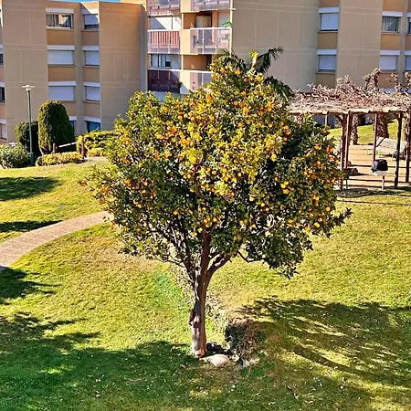 Oliviers De Fabron * 니스